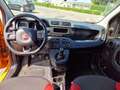 Fiat Panda 1.2 Trussardi s&s 69cv - thumbnail 8