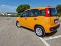 Fiat Panda 1.2 Trussardi s&s 69cv - thumbnail 13