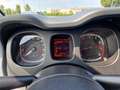 Fiat Panda 1.2 Trussardi s&s 69cv - thumbnail 11