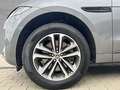 Jaguar F-Pace Diesel D300 AWD R-Dynamic SE AHK Panorama Grau - thumbnail 9