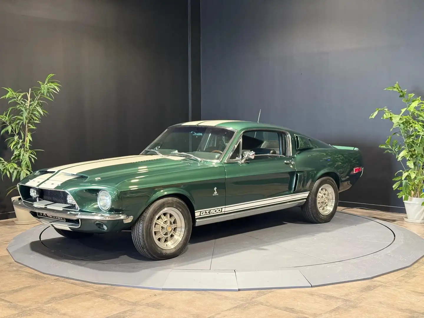 Shelby GT Shelby GT 500 355 DARK MOSS GREEN Intérieur Deluxe \u0026amp; Volant Moto Lita Grün - 1