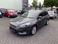 Ford Focus Turnier 1.5 EcoBoost Automatik Business Edition Grau - thumbnail 4