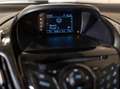 Ford B-Max 1.0 EcoBoost Titanium / 101pk / Panorama dak / Hal Gris - thumbnail 20