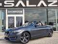 BMW 218 218i Cabrio Sport Line / INT CUIR / VOITURE BELGE Gris - thumbnail 1