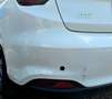 Fiat Tipo Tipo 5-Türer 1.4 16V Mirror Weiß - thumbnail 19