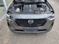 Mazda CX-60 Homura PHEV Allrad 8-AT HUD Navi Digitales Cockpit Gris - thumbnail 14
