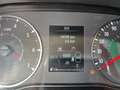 Dacia Jogger 1.0 tce Comfort Gpl 100cv 7p.ti Braun - thumbnail 14