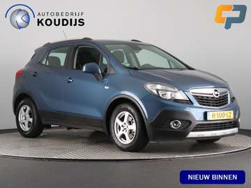 1.4 T Cosmo incl. zomerset (Trekhaak / Stoel-Stuur
