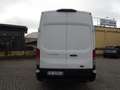 Ford Transit 350 2.0TDCi EcoBlue L4 H3  PL-TA Furgone Trend Bianco - thumbnail 3