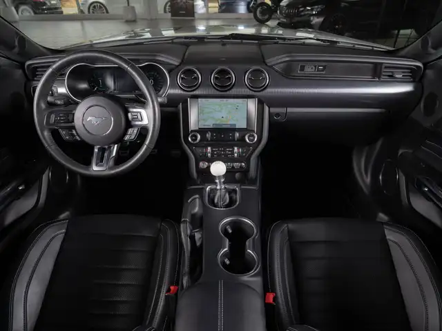 Ford Mustang view 13