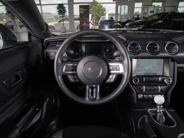 Ford Mustang view 12