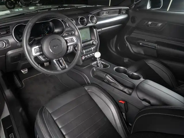 Ford Mustang view 10