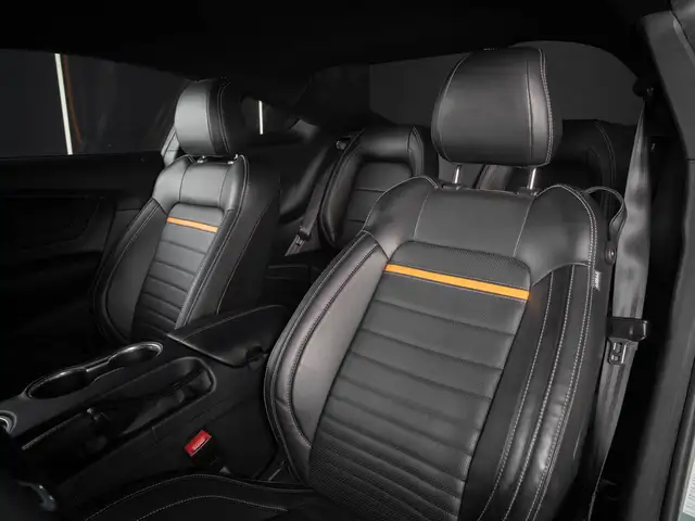 Ford Mustang view 11