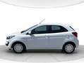 Ford Ka/Ka+ Ka + 1.2 70cv Bianco - thumbnail 2