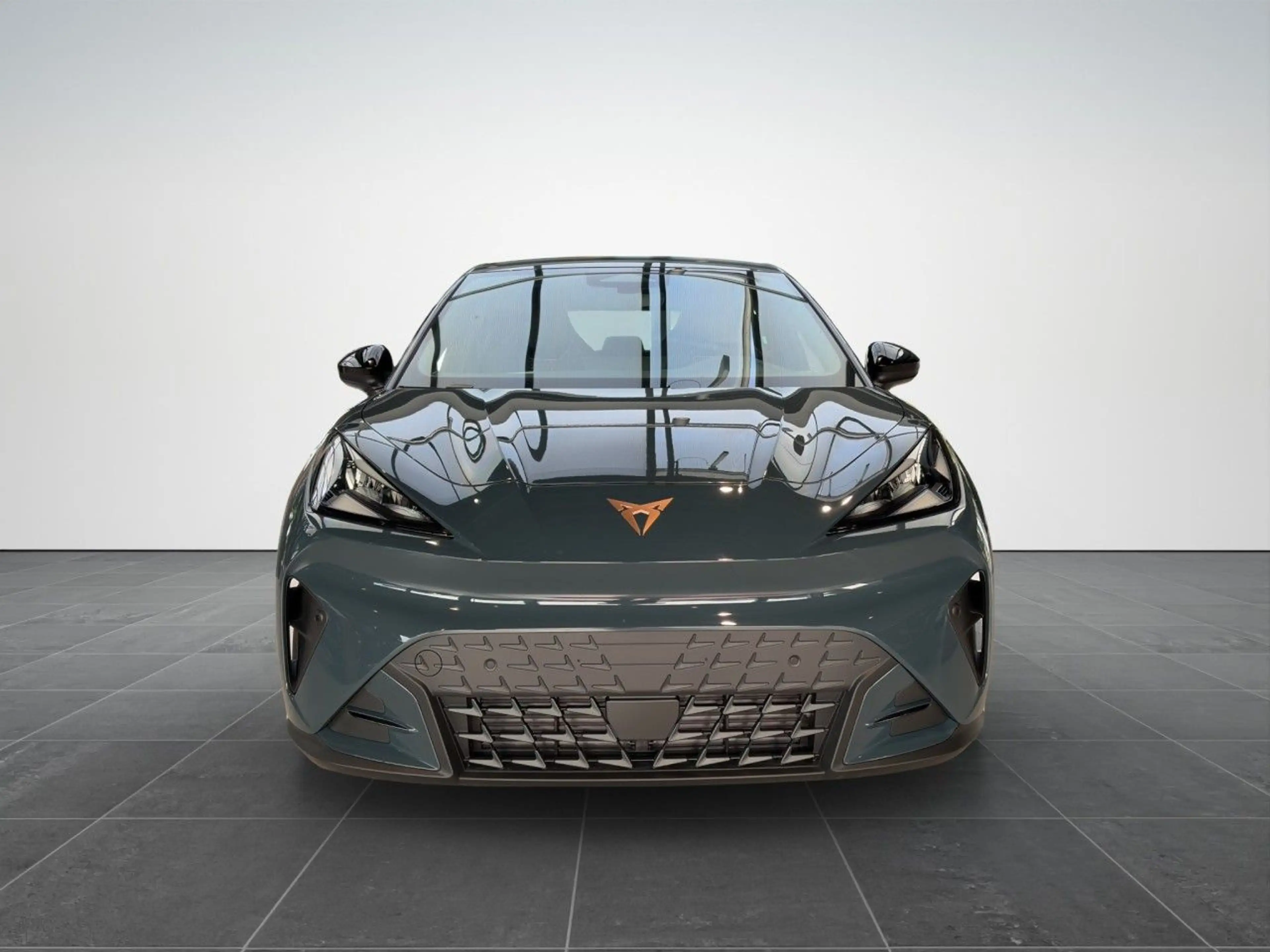 CUPRA Raval 155 W Endurance Launch Edition Dynamic LED — photo 2
