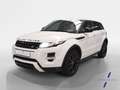 Land Rover Range Rover Evoque 2.2L SD4 Dynamic 4x4 190 Aut. Blanc - thumbnail 1