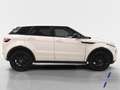 Land Rover Range Rover Evoque 2.2L SD4 Dynamic 4x4 190 Aut. Blanc - thumbnail 6