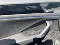 Volkswagen Tiguan R-LINE 4MOTION Grau - thumbnail 13