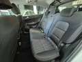 Kia Sportage Sportage IV 1.6 crdi Business Class 2wd 115cv Weiß - thumbnail 10