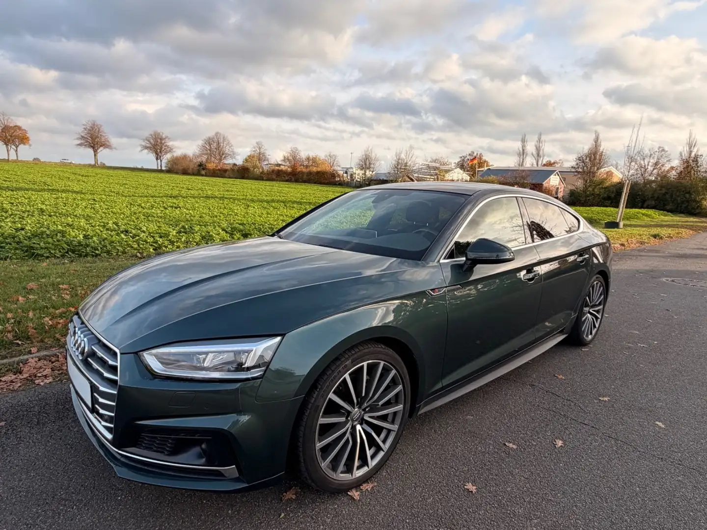 Audi A5 Sportback quattro S-Line Sport Plus/Pano/B&O Verde - 1