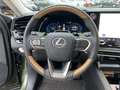 Lexus RX 450h RX 450 h+ E-FOUR Luxury Line *Panorama* Vert - thumbnail 11