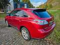 Lexus RX 450h H Xenon Leder Navi Kamera Rot - thumbnail 5