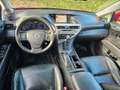 Lexus RX 450h H Xenon Leder Navi Kamera Rot - thumbnail 13