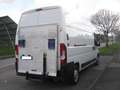 Citroen Jumper 35 Heavy L3H3 BlueHDi 130Cv Sponda Idraulica Haccp Bianco - thumbnail 3