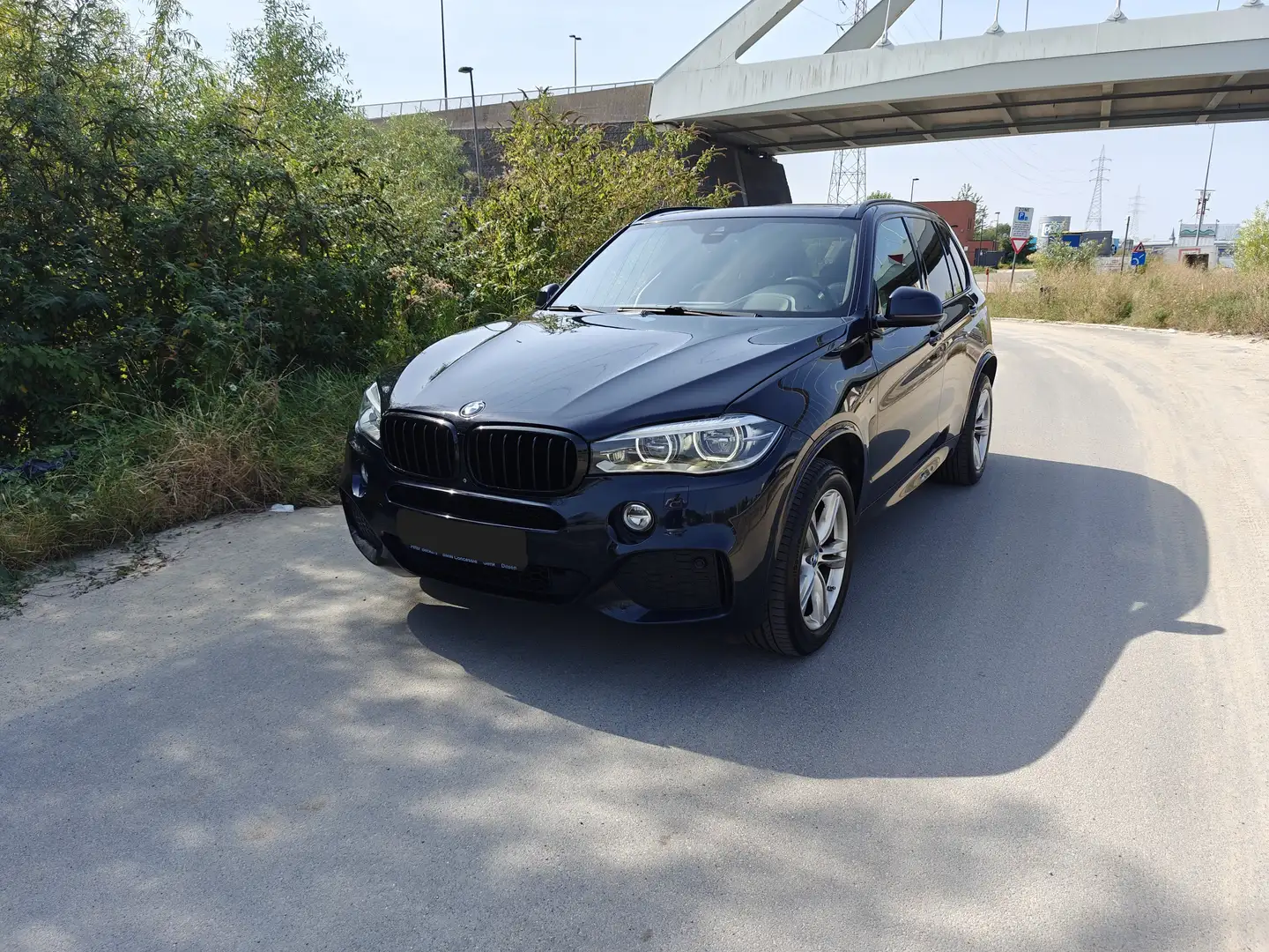 BMW X5 X5 30d xDrive M-Pakket // Full Option // Blauw - 1
