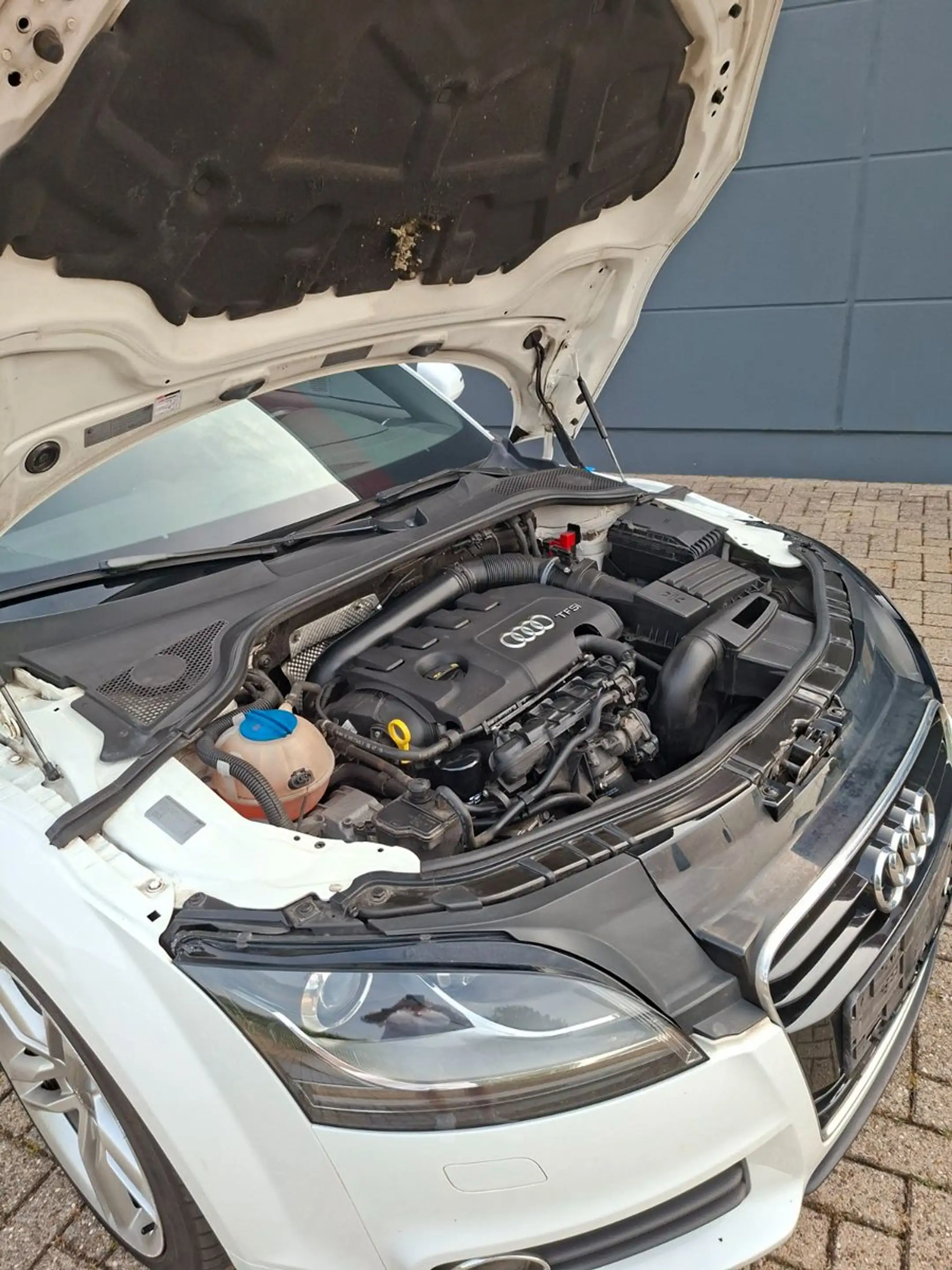 Audi TT Coupe/Roadster 1.8 TFSI Roadster — photo 14