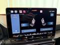 CUPRA Leon 1.5 eTSI DSG PANO EDGE DYNAMIC PERFORMANCE Grau - thumbnail 15