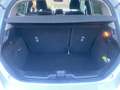Ford Fiesta 5P 1.1 TITANIUM 85CV  OK NEOPATENTATI Weiß - thumbnail 9