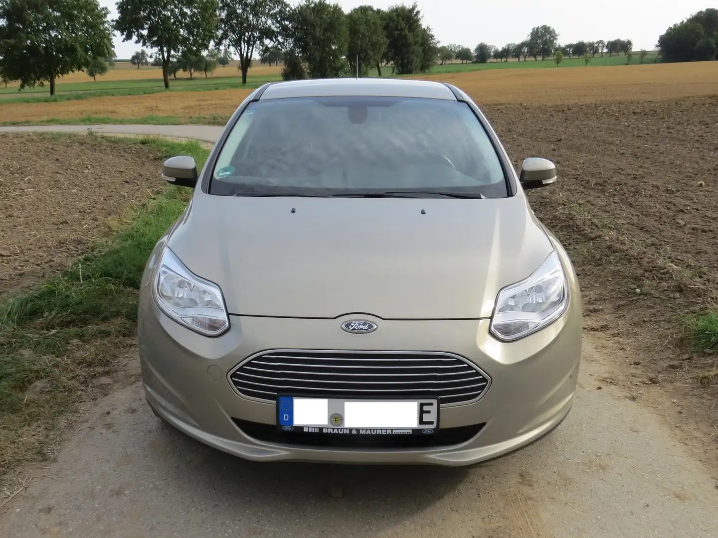 Ford Focus Focus Electric Grau - 1