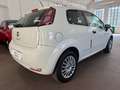 Fiat Punto Punto 3p 1.2 Lounge Bianco - thumbnail 4
