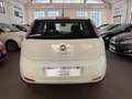 Fiat Punto Punto 3p 1.2 Lounge Bianco - thumbnail 5