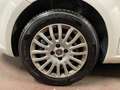 Fiat Punto Punto 3p 1.2 Lounge Bianco - thumbnail 12