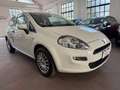 Fiat Punto Punto 3p 1.2 Lounge Bianco - thumbnail 3