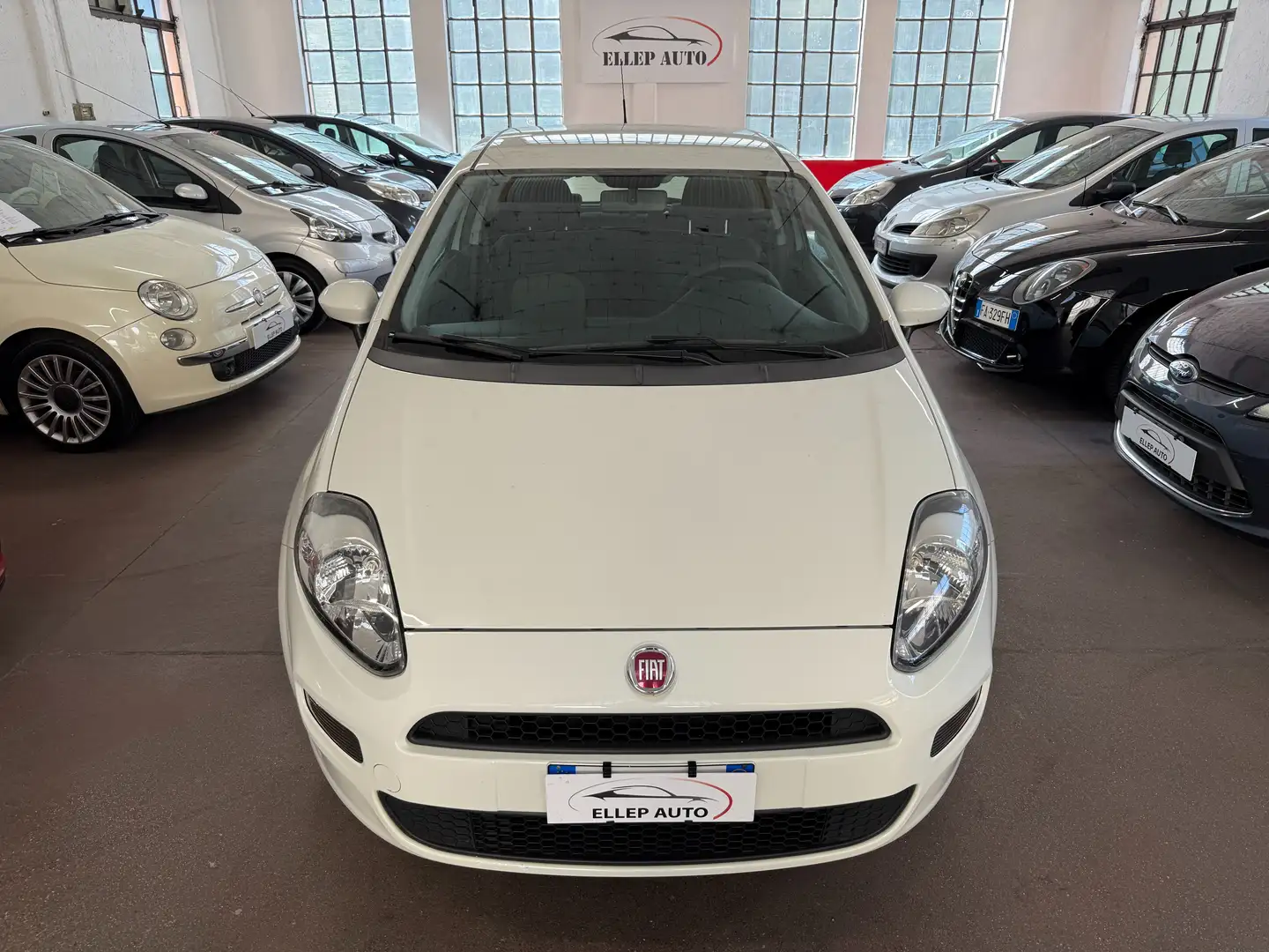 Fiat Punto Punto 3p 1.2 Lounge Bianco - 2