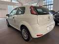 Fiat Punto Punto 3p 1.2 Lounge Bianco - thumbnail 6