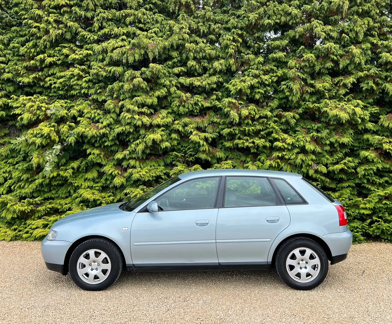 Audi A3 1.9 TDi 100 CV PREMIER PROPRIETAIRE 73.000 KM !!! Bleu - 2