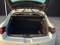 Renault Megane IV 1.2 TCe 130 Energy GT-Line Weiß - thumbnail 15
