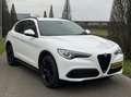 Alfa Romeo Stelvio 2.0t Q4 Veloce 280pk, Carplay, 19inch, 124dkm Blanc - thumbnail 30