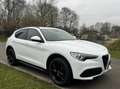 Alfa Romeo Stelvio 2.0t Q4 Veloce 280pk, Carplay, 19inch, 124dkm Blanc - thumbnail 4