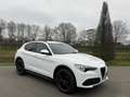 Alfa Romeo Stelvio 2.0t Q4 Veloce 280pk, Carplay, 19inch, 124dkm Blanc - thumbnail 29