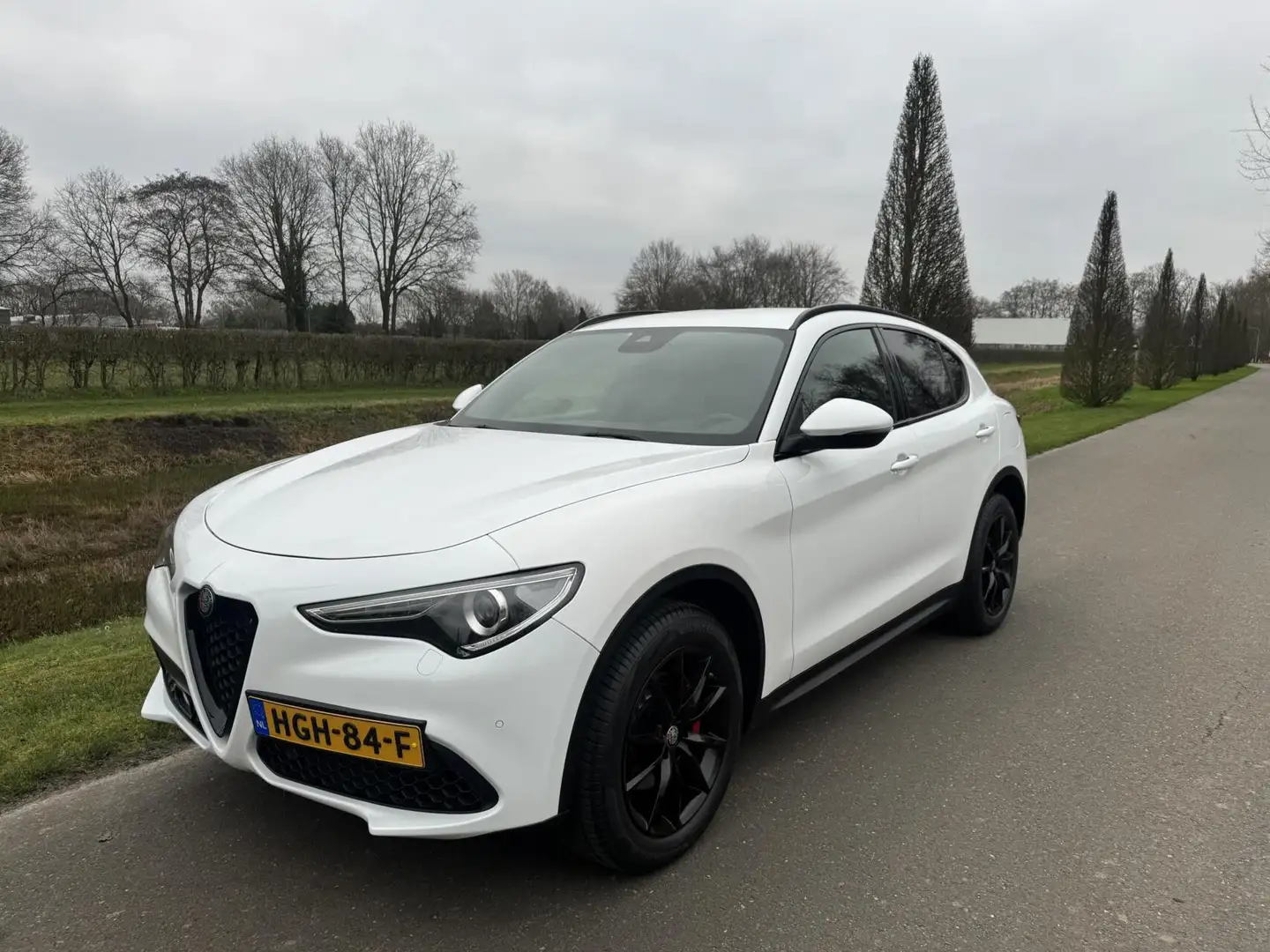 Alfa Romeo Stelvio 2.0t Q4 Veloce 280pk, Carplay, 19inch, 124dkm Blanc - 2