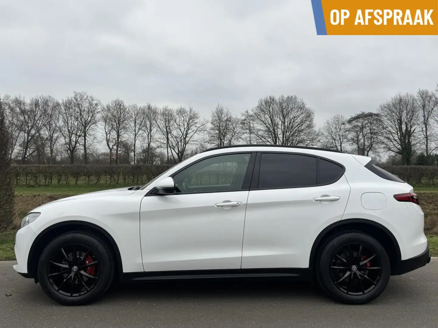 Alfa Romeo Stelvio 2.0t Q4 Veloce 280pk, Carplay, 19inch, 124dkm Blanc - 1