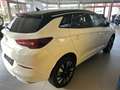 Opel Grandland Elegance AT Matrix-LED,Navi,SHZ,R-Kamera,PDC,DAB! Bílá - thumbnail 4