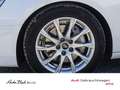 Audi A4 40TDI Stronic Navi Virtual EPH Sitzhzg Weiß - thumbnail 8
