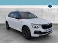 Skoda Kamiq 1.0 TSI Tour DSG 2xKlima*ACC*AUT*Kam.*LED Noir - thumbnail 1