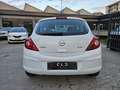 Opel Corsa 1.2 85CV 3 porte GPL-TECH Bianco - thumbnail 4